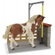 Horse washing box