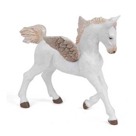 Baby pegasus